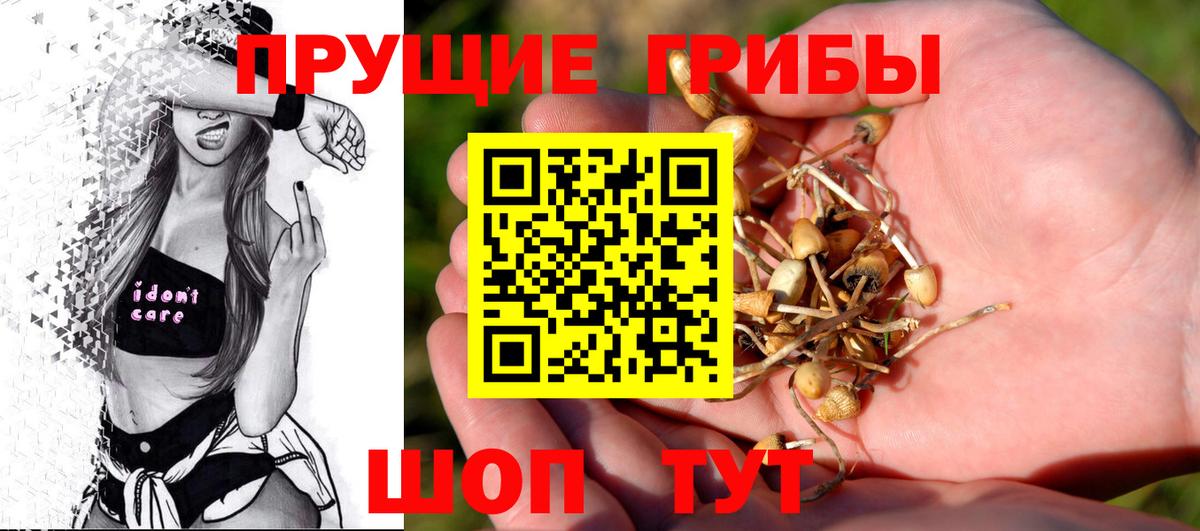 Саров  Галлюциногенные грибы Cubensis  Вход с VPN  Псилоцибиновые грибы мухоморы 