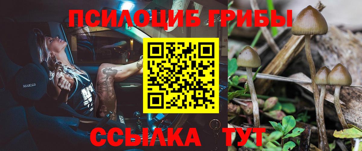 Псилоцибиновые грибы MAGIC MUSHROOMS Саров