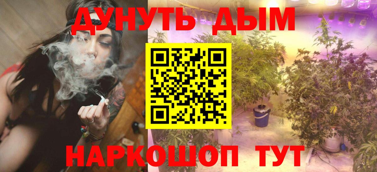 МАРИХУАНА сатива Саров